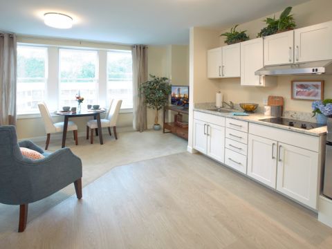 Forestdale Studio Overview2